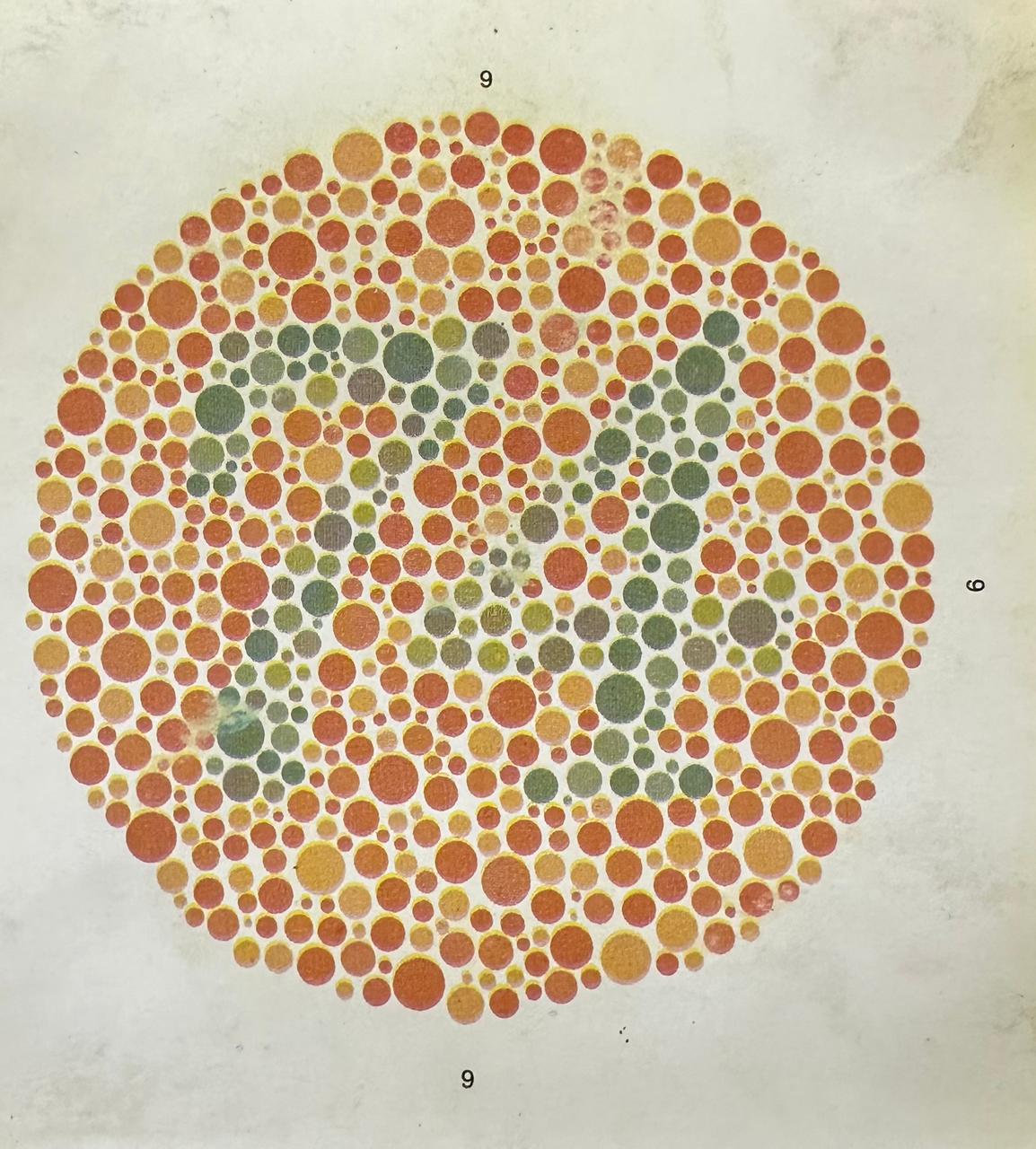 ishihara plate for 74